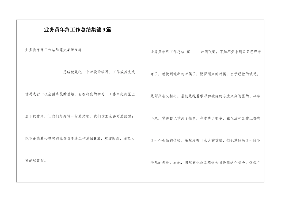 业务员年终工作总结集锦9篇_第1页