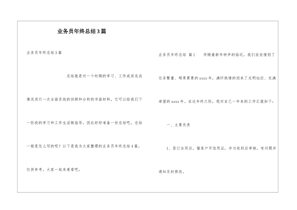 业务员年终总结3篇_第1页
