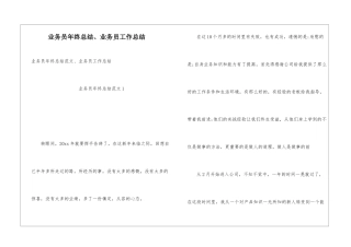 业务员年终总结、业务员工作总结