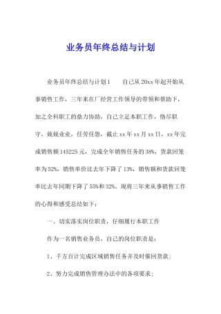 业务员年终总结与计划