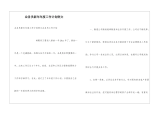 业务员新年年度工作计划例文