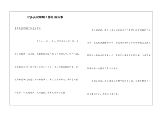 业务员试用期工作总结范本