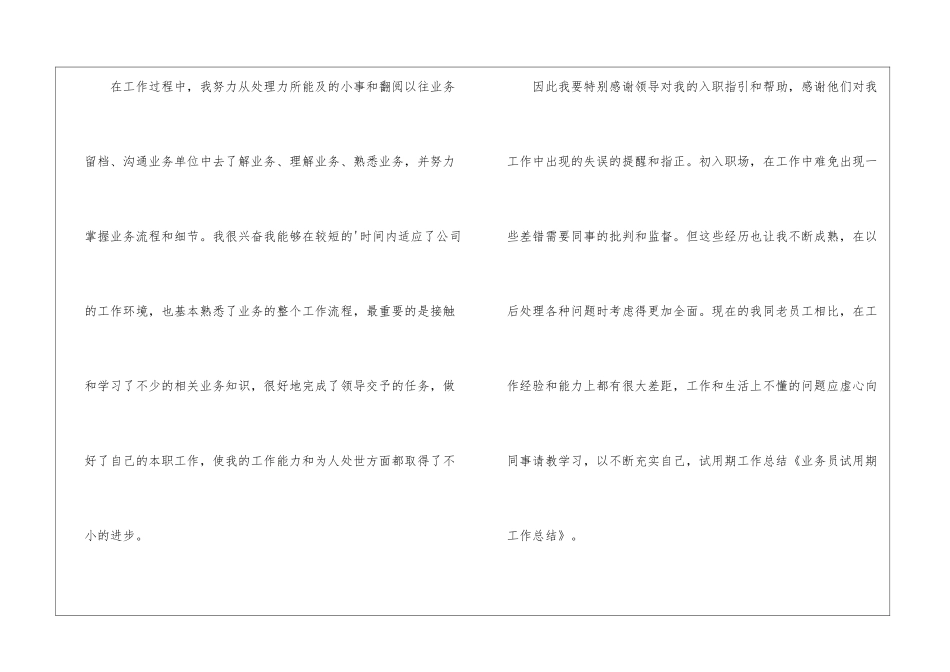 业务员试用期工作总结汇报_第2页
