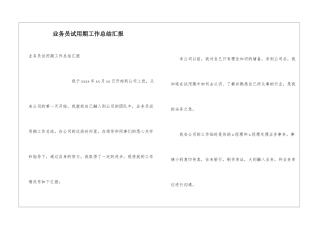 业务员试用期工作总结汇报