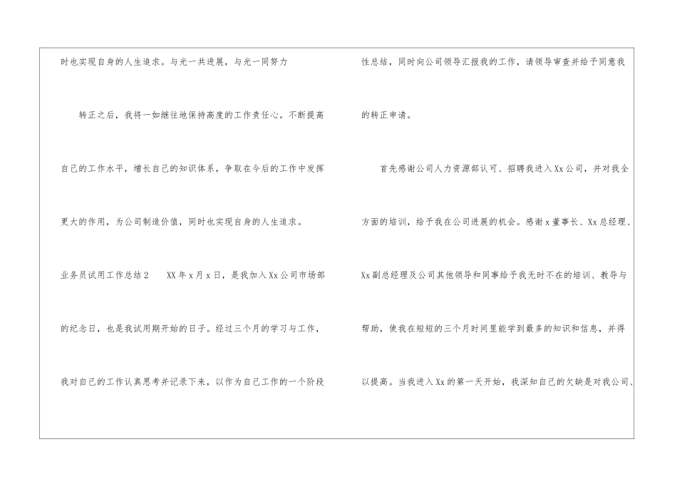 业务员试用工作总结_第3页