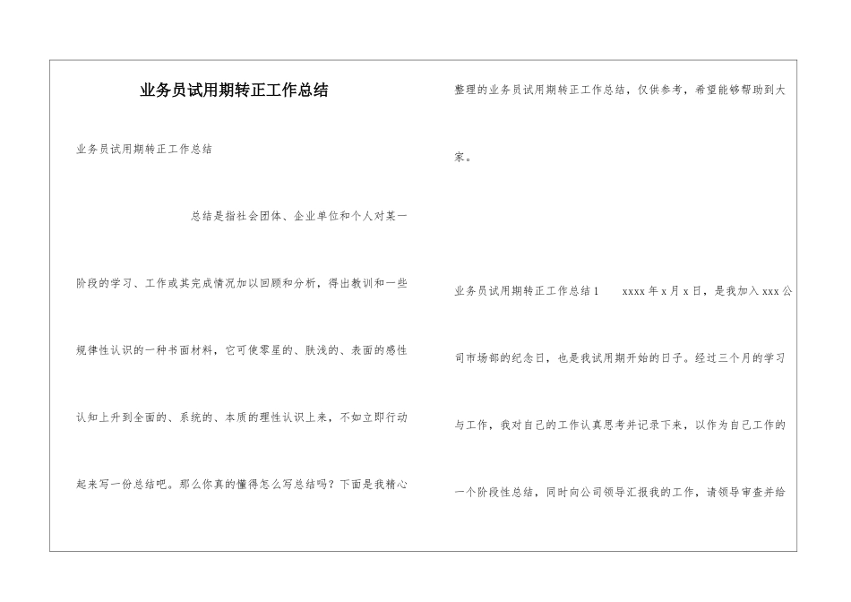 业务员试用期转正工作总结_第1页