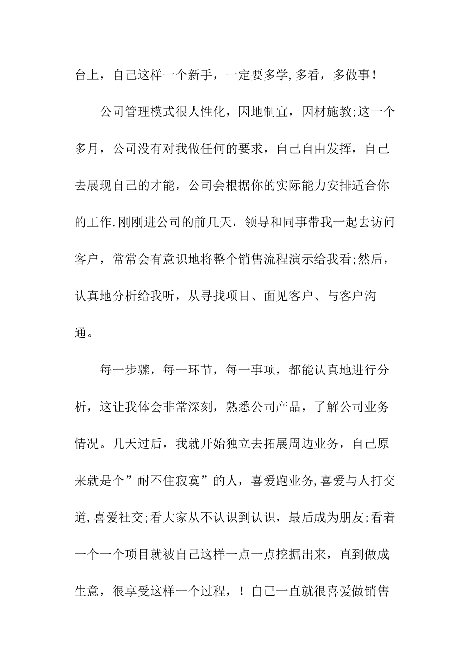 业务员销售的年终总结_第2页