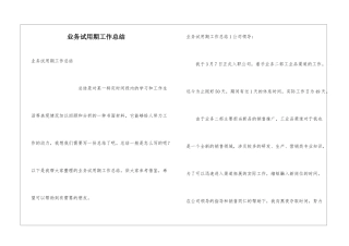 业务试用期工作总结
