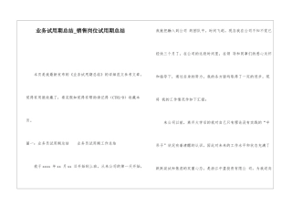业务试用期总结销售岗位试用期总结