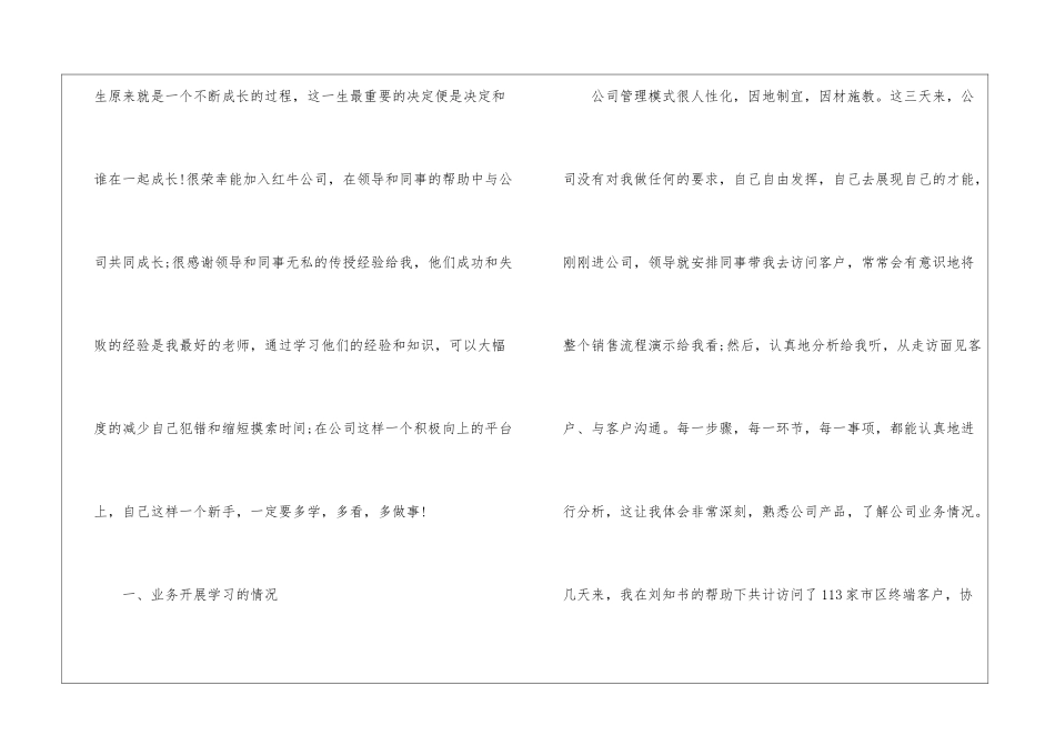 业务销售人员工作总结_第2页