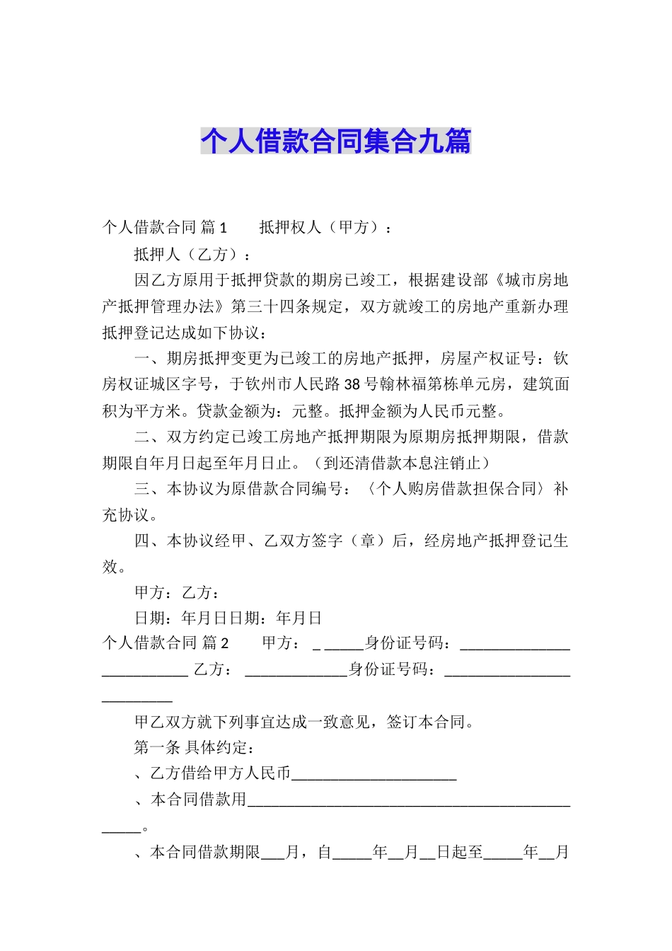 个人借款合同集合九篇_第1页