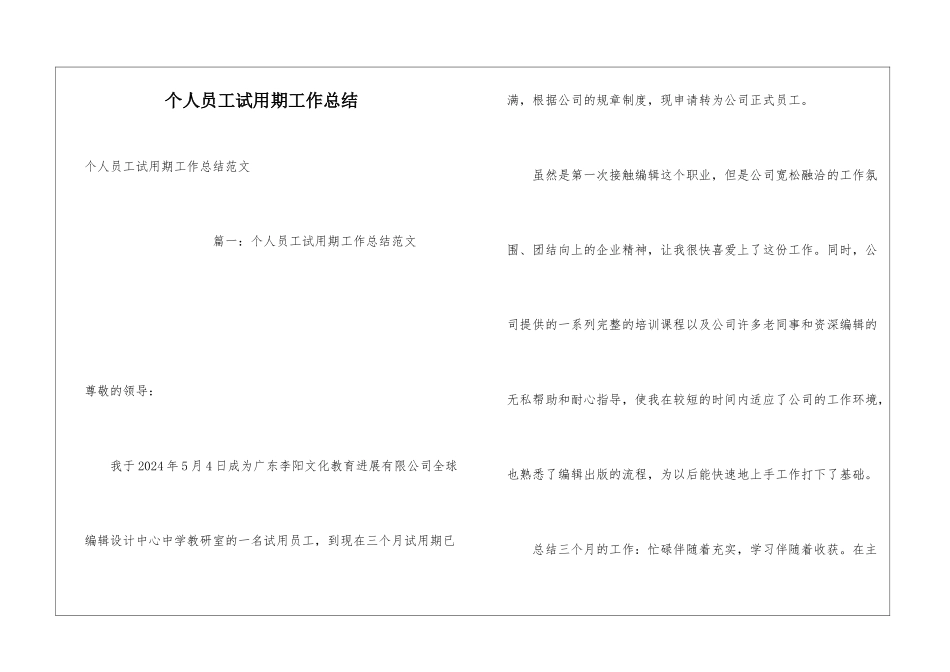 个人员工试用期工作总结_第1页