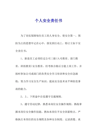 个人安全责任书