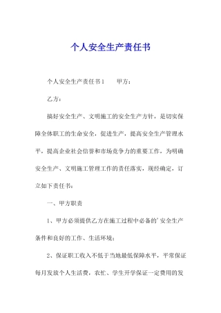 个人安全生产责任书