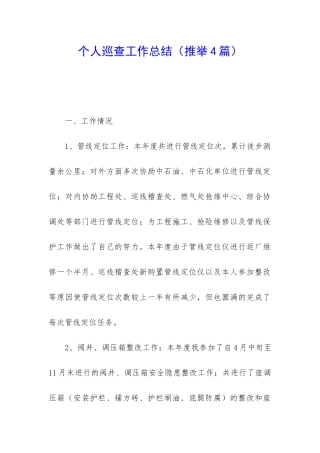 个人巡查工作总结