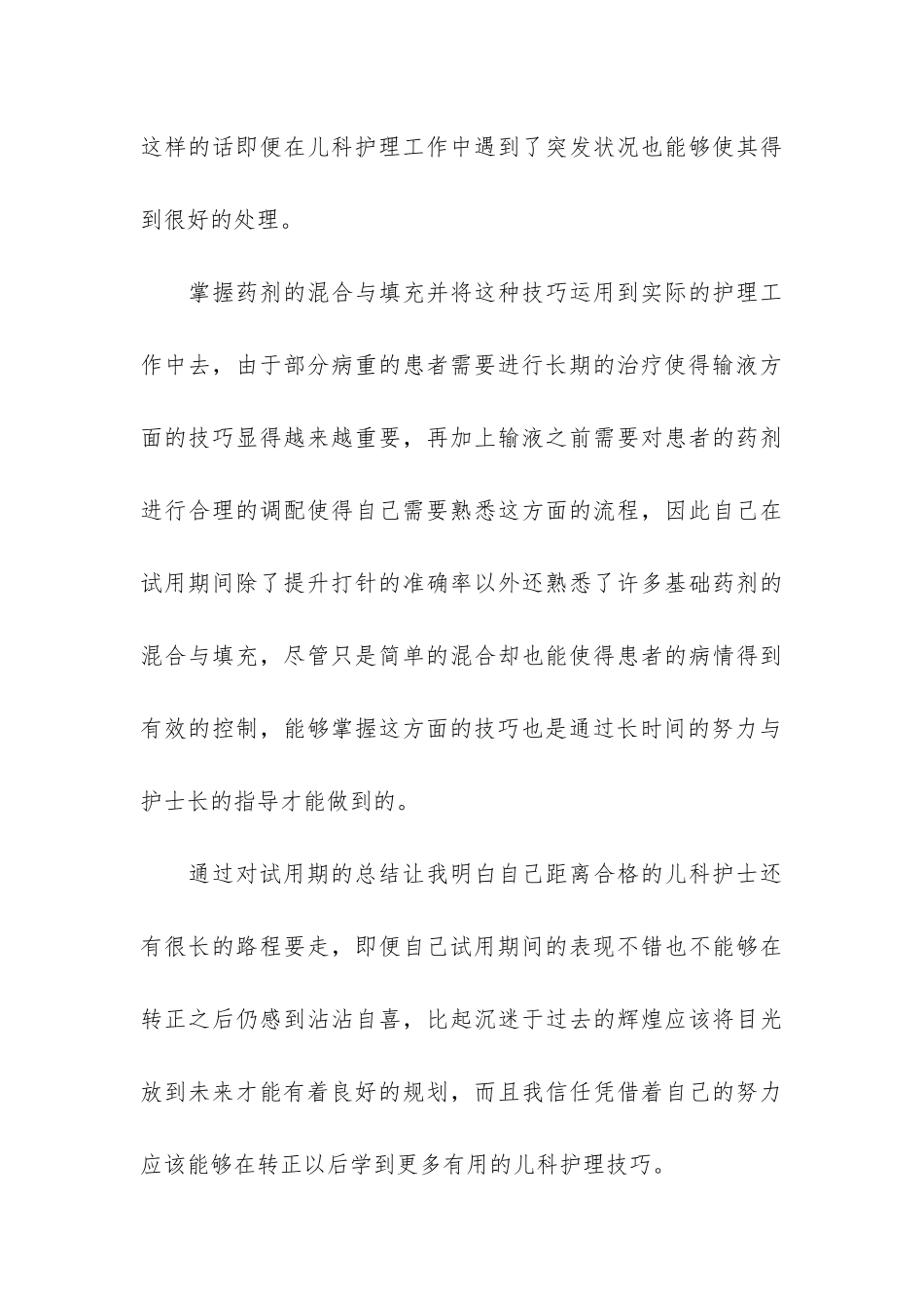个人工作转正总结3篇_第3页