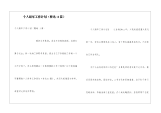 个人新年工作计划(精选11篇)