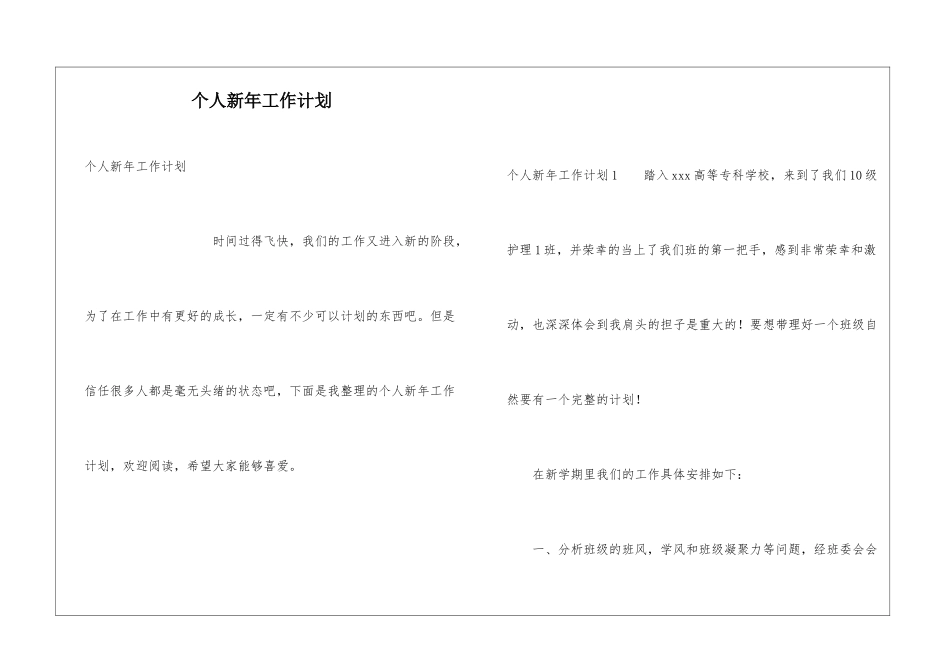 个人新年工作计划_第1页