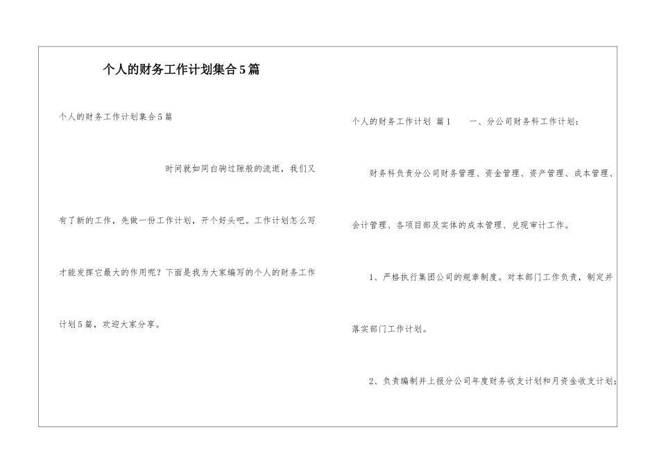 个人的财务工作计划集合5篇_第1页