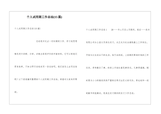 个人试用期工作总结(15篇)