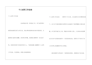 个人试用工作总结