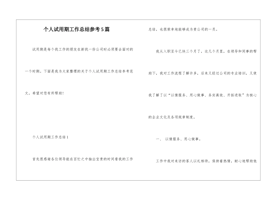 个人试用期工作总结参考5篇_第1页