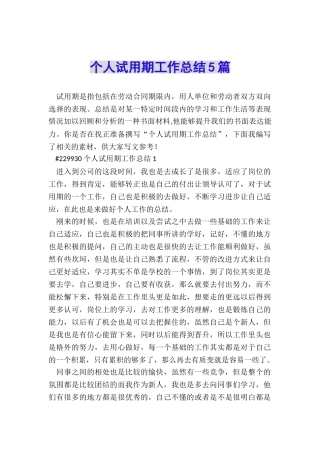 个人试用期工作总结5篇