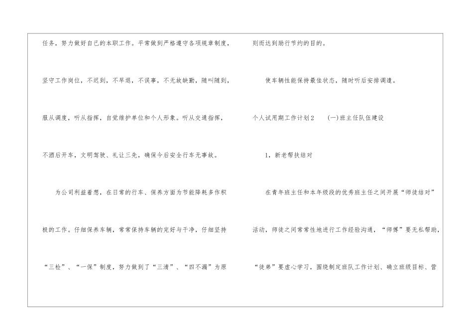 个人试用期工作计划_第2页
