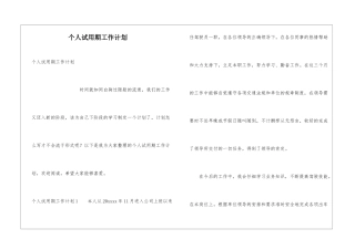 个人试用期工作计划