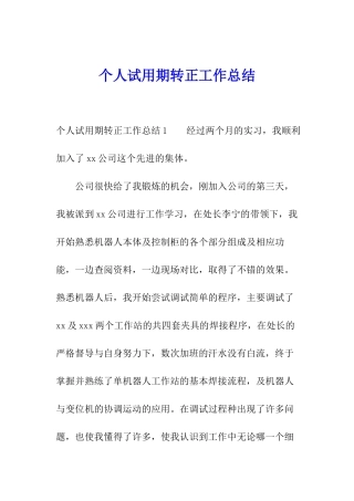 个人试用期转正工作总结