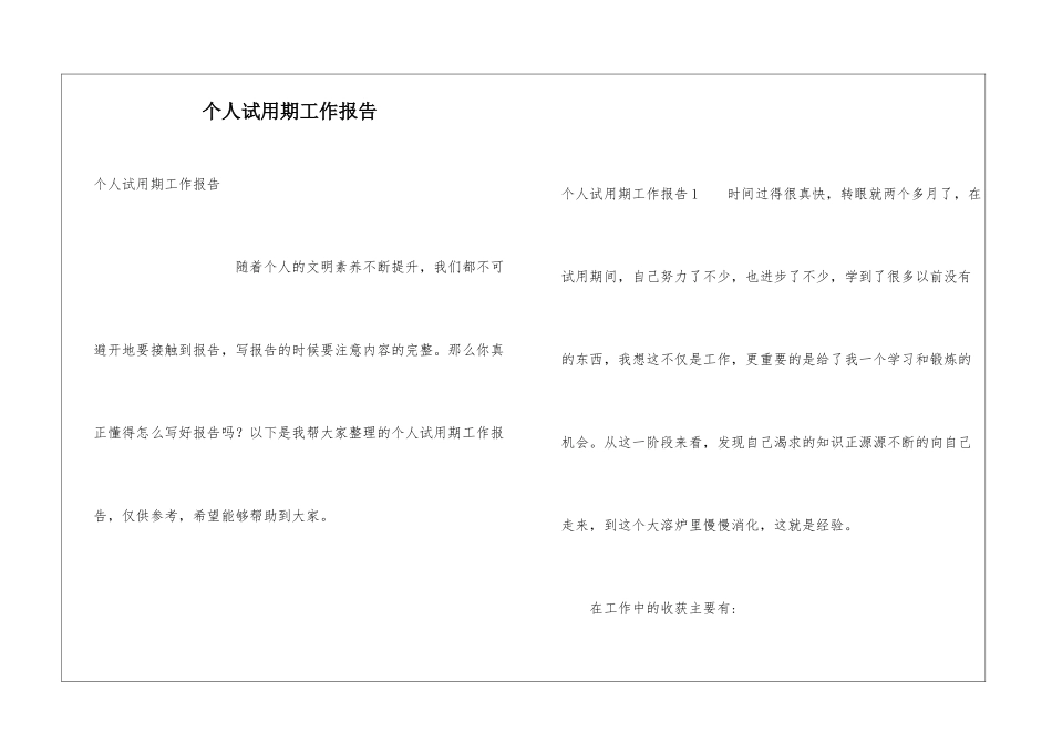个人试用期工作报告_第1页