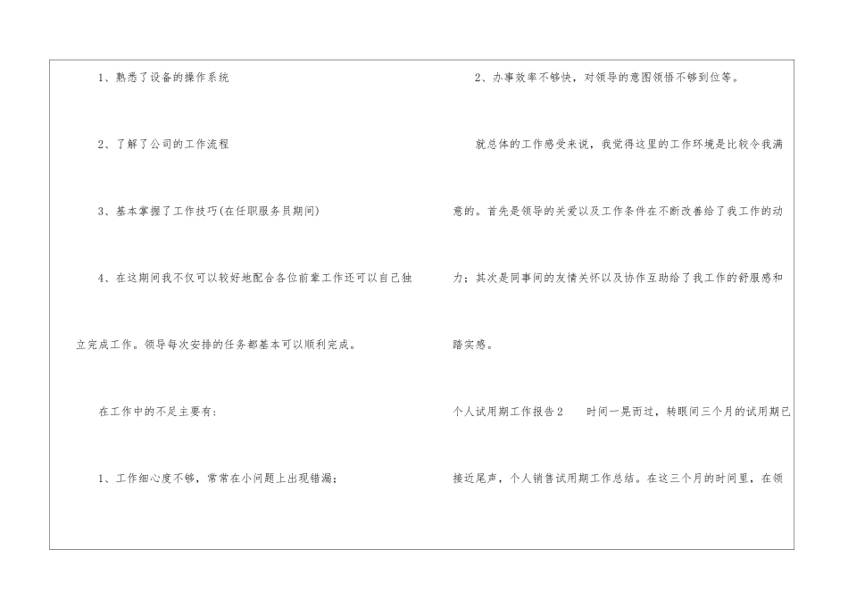 个人试用期工作报告_第2页