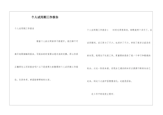 个人试用期工作报告