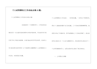 个人试用期转正工作总结(合集15篇)