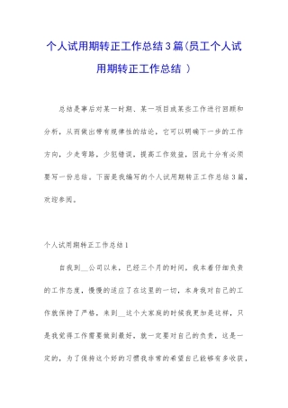 个人试用期转正工作总结3篇