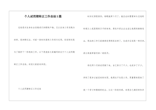 个人试用期转正工作总结5篇