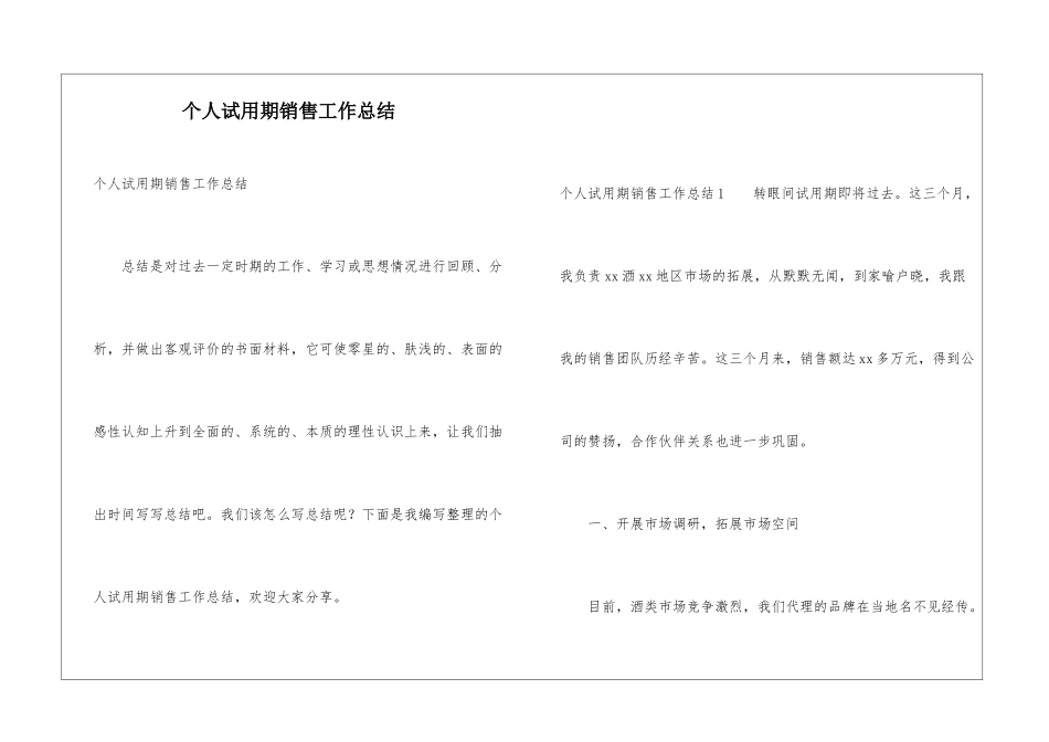 个人试用期销售工作总结_第1页