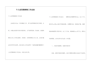 个人试用期销售工作总结