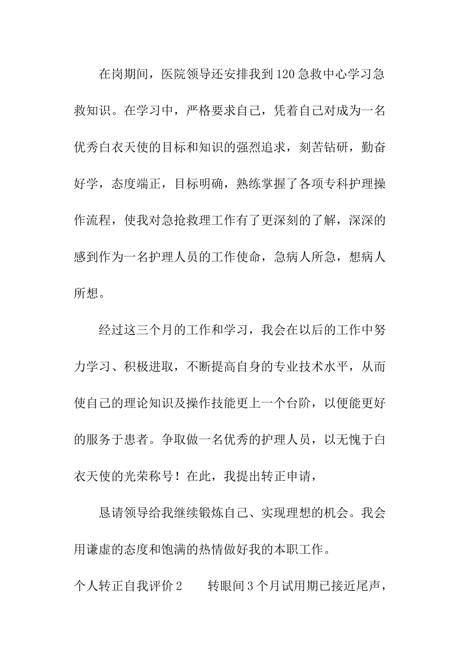 个人转正自我评价_第2页