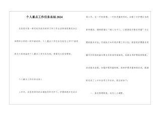 个人重点工作任务总结2024