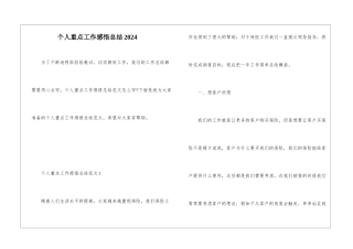个人重点工作感悟总结2024