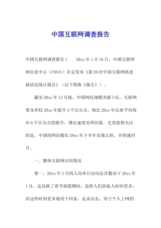 中国互联网调查报告