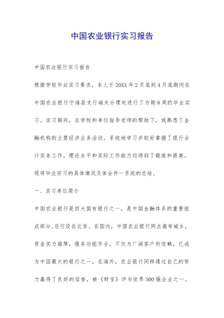 中国农业银行实习报告-