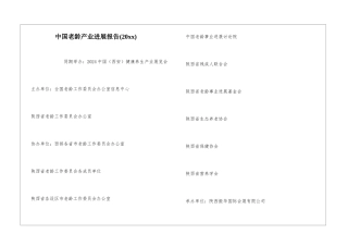 中国老龄产业发展报告