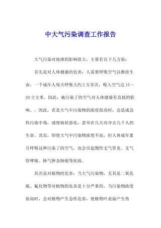 中大气污染调查工作报告