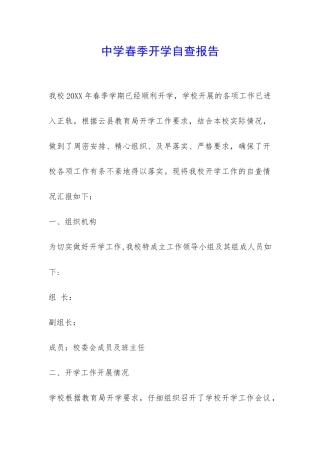 中学春季开学自查报告-