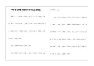 中学生写背影的散文作文节选五篇模板