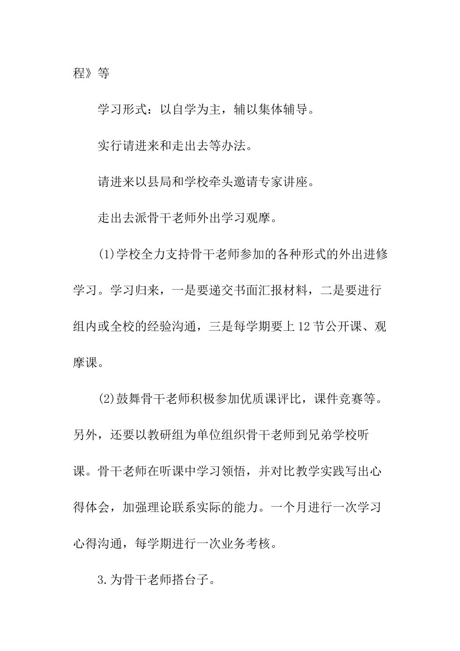 中学骨干教师培养工作计划最新_第3页