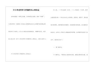 中小学教师学习师德师风心得体会