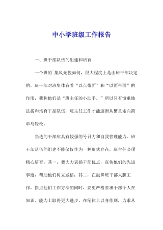 中小学班级工作报告